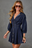 Puff Sleeve Button-Front Collared Mini Dress