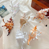 Seashell Shaped Hair Claw Clip
