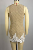 Textured Lace Trim Mini Dress