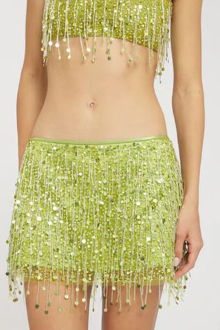 Sequin Sheer Mesh Crop Top and Mini Skirt Set
