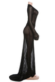 Sheer Striped Long-Sleeve Maxi Dress