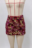 Floral Sequin Bodycon Mini Skirt