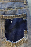 Embellished Distressed Denim Shorts